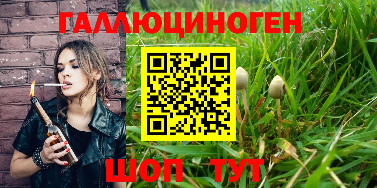 Галлюциногенные грибы Psilocybine cubensis Обнинск